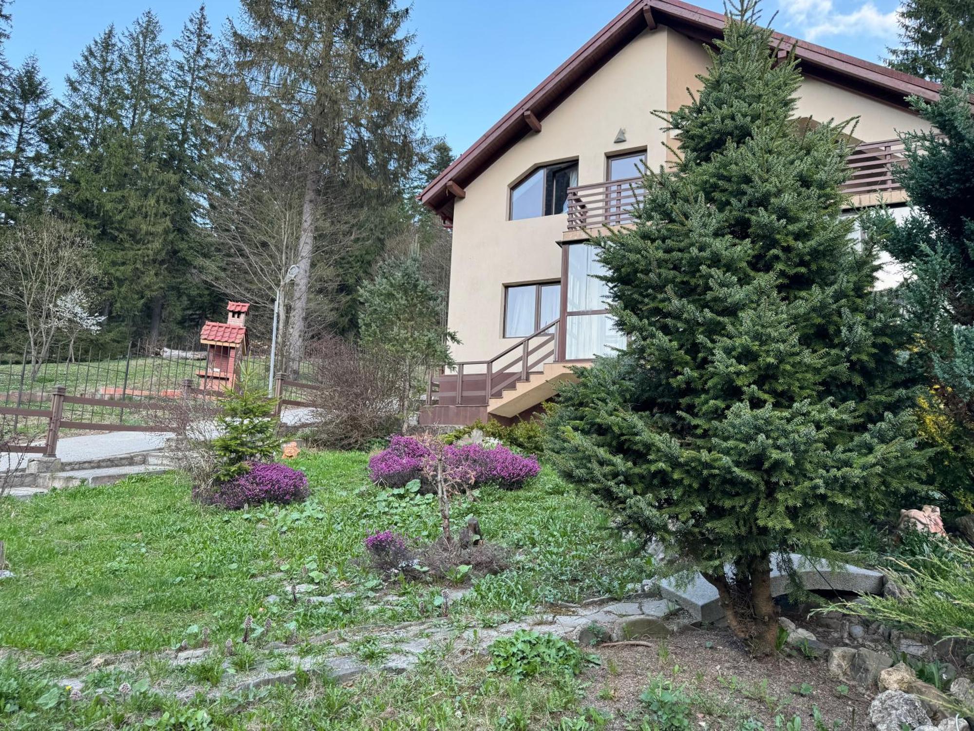 Vila Babylon Predeal Exteriér fotografie