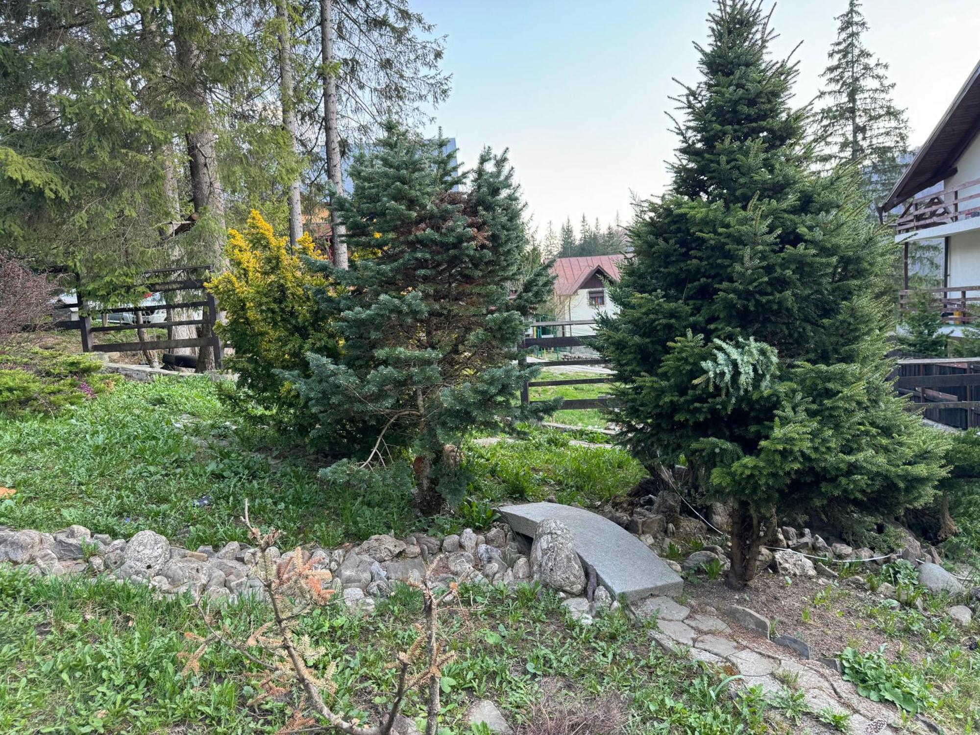 Vila Babylon Predeal Exteriér fotografie