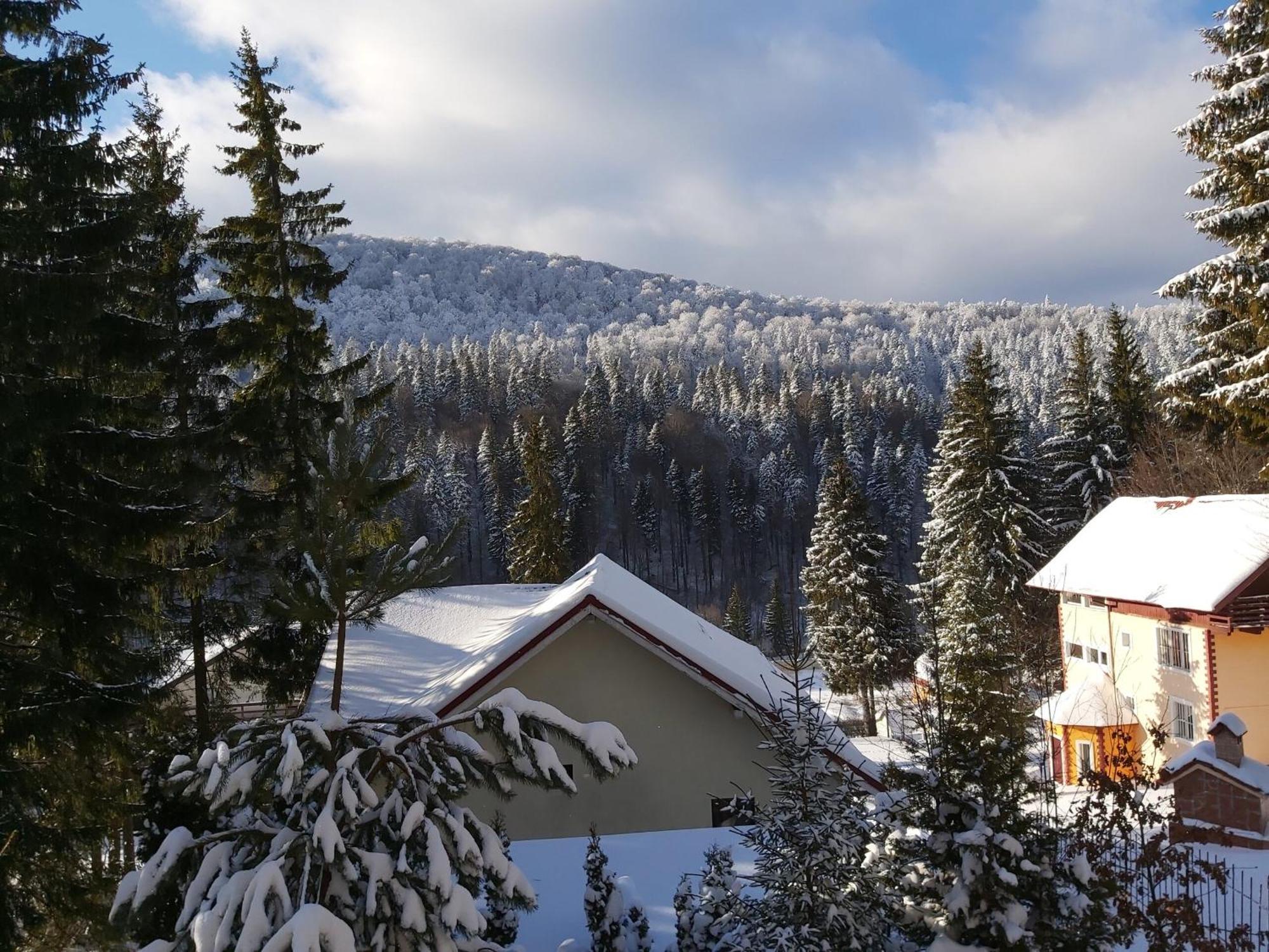 Vila Babylon Predeal Exteriér fotografie